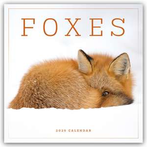 Carousel Calendar: Foxes - Füchse 2025 - Wand-Kalender