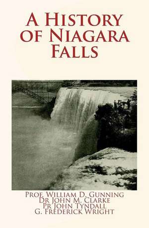 A History of Niagara Falls de Pr William D. Gunning