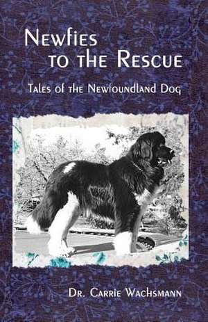 Newfies to the Rescue de Wachsmann, Dr Carrie