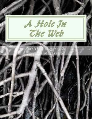 A Hole in the Web de MR Patrick James McGarry Sr