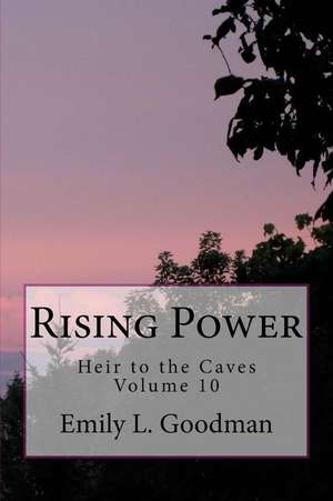 Rising Power de Emily L. Goodman