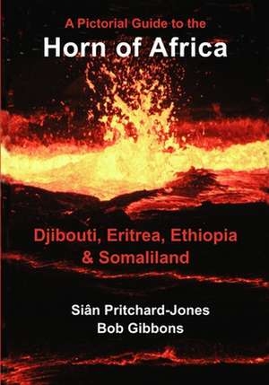 The Horn of Africa de Sian Pritchard-Jones