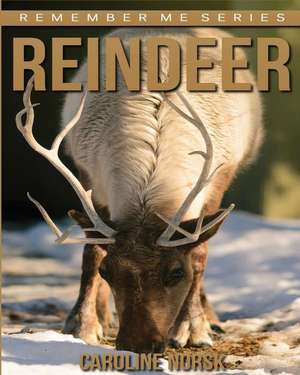 Reindeer de Caroline Norsk