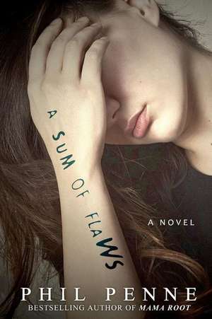 A Sum of Flaws de Phil Penne