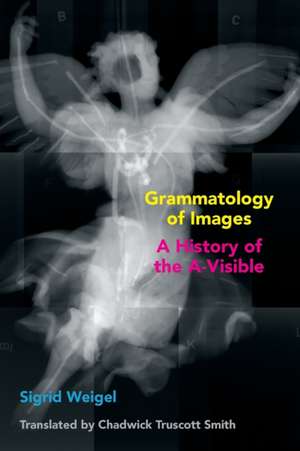 Grammatology of Images – A History of the A–Visible de Sigrid Weigel