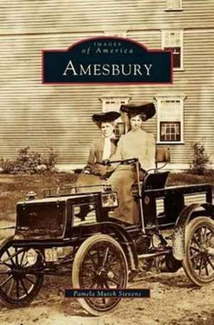 Amesbury de Pamela Mutch Stevens