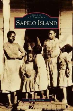 Sapelo Island de Buddy Sullivan