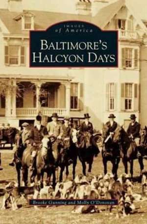 Baltimore's Halcyon Days de Brooke Gunning