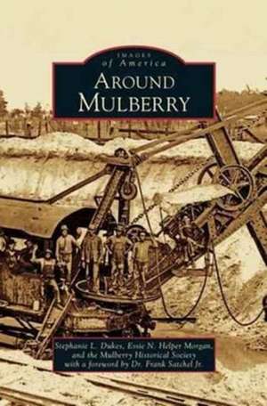 Around Mulberry de Stephanie L. Dukes