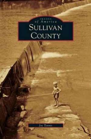 Sullivan County de Joe Tennis