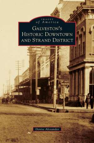 Galveston's Historic Downtown and Strand District de Denise Alexander