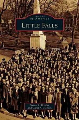 Little Falls de Susan R. Perkins