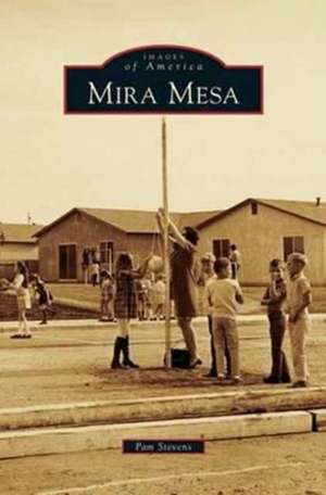 Mira Mesa de Pam Stevens