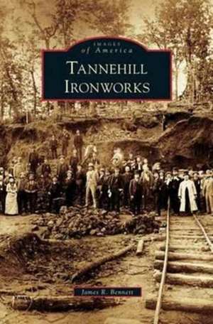 Tannehill Ironworks de James R. Bennett