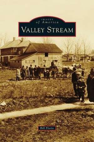 Valley Stream de Bill Florio