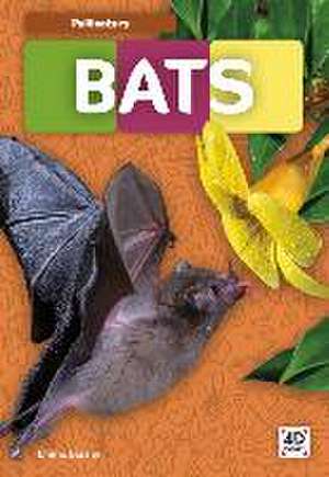 Bats de Emma Bassier