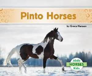 Pinto Horses de Grace Hansen