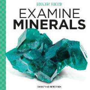 Examine Minerals de Christine Petersen