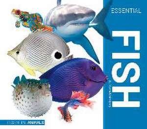 Krekelberg, A: Essential Fish