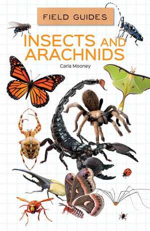 Insects and Arachnids de Carla Mooney