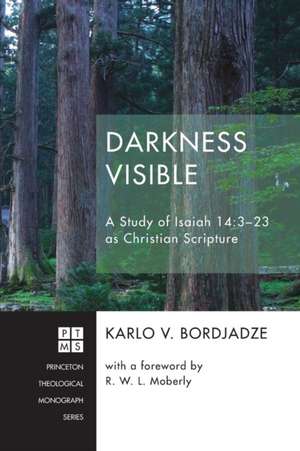 Darkness Visible de Karlo V. Bordjadze