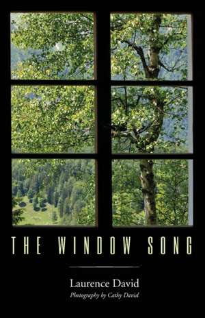 The Window Song de Laurence David