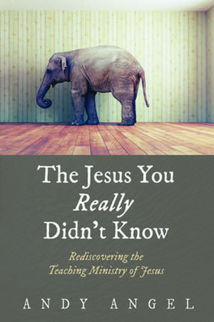 The Jesus You Really Didn't Know de Andy Angel