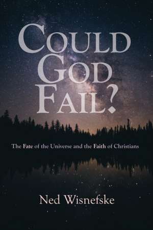 Could God Fail? de Ned Wisnefske