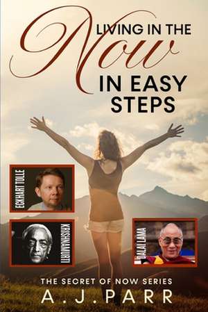 Living in the Now in Easy Steps de A. J. Parr