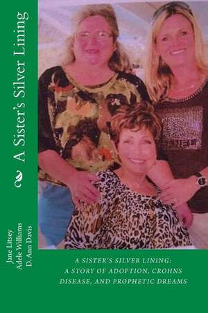 A Sister's Silver Lining de Jane Lamonta Litsey