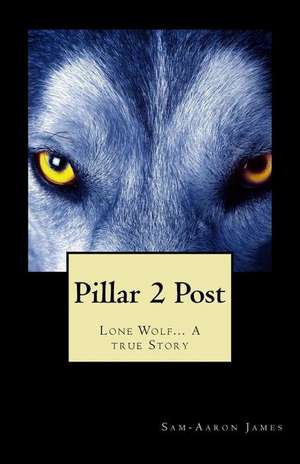 Pillar 2 Post de Sam-Aaron James