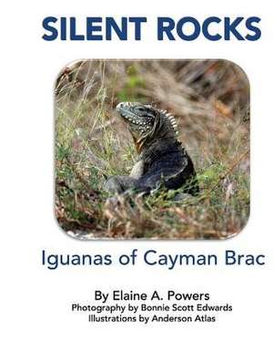 Silent Rocks de Elaine a. Powers