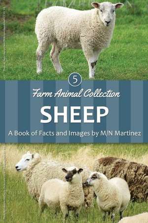 Sheep de M/N Martinez