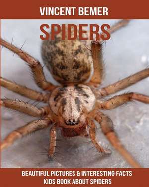 Spiders de Vincent Bemer