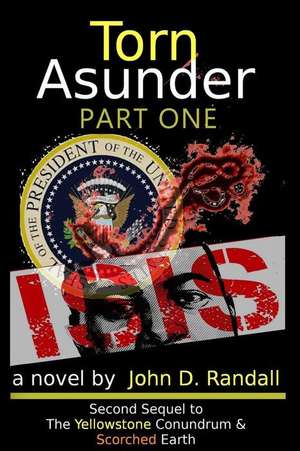 Torn Asunder--Part 1 de MR John D. Randall