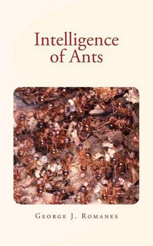 Intelligence of Ants de George J. Romanes