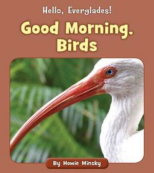 Good Morning, Birds de Howie Minsky