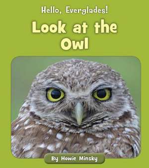 Look at the Owl de Howie Minsky