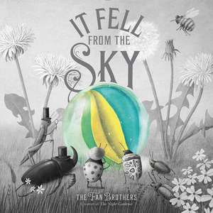 It Fell from the Sky de Terry Fan