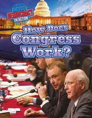 How Does Congress Work? de Cathleen Small