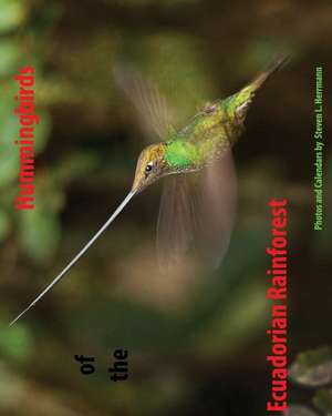 Hummingbirds of the Ecuadorian Rainforest de Steven L. Herrmann