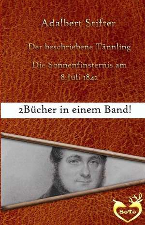 Der Beschriebene Tannling de Adalbert Stifter