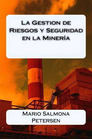 La Gestion de Riesgos y Seguridad En La Mineria de Mario Salmona Petersen