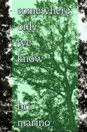 Somewhere Only We Know de Marino, Bri