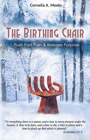 The Birthing Chair de Cornelia a. Meeks