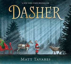 Dasher de Matt Tavares