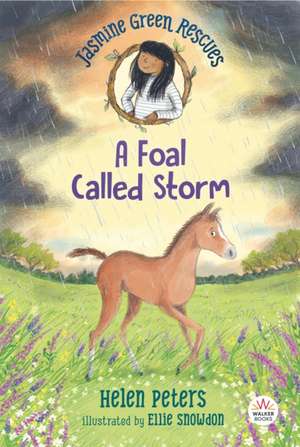 Jasmine Green Rescues: A Foal Called Storm de Helen Peters