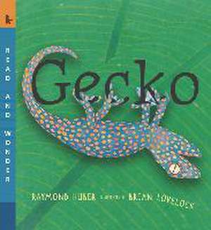 Gecko de Raymond Huber