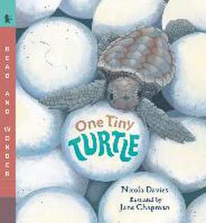 One Tiny Turtle de Nicola Davies