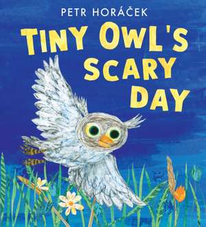 Tiny Owl's Scary Day de Petr Horácek